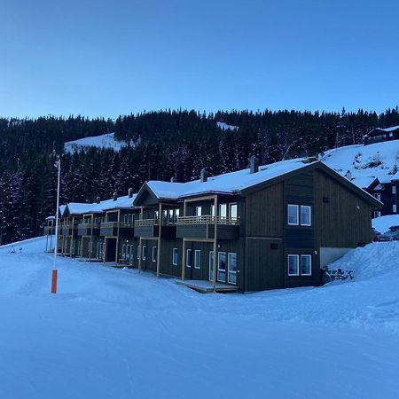Voss Resort Self-Service Apartments Skulestadmo ภายนอก รูปภาพ